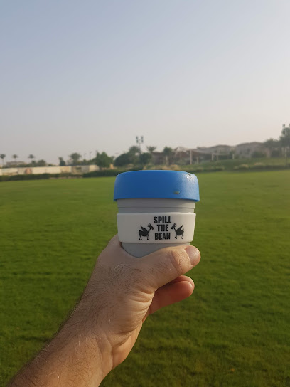 Mira Community football pitch - United Arab Emirates|Dubai|Mira Towncentre