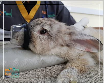 2Feet4Paws (& Exotics) Veterinary Clinic - Umm Al Quawain - +971 4 552 0213