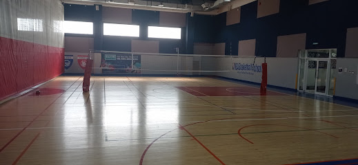 Elite Volleyball Academy - Dubai British School, Jumeriah Park - Umm Al Quawain - +971 56 381 1155