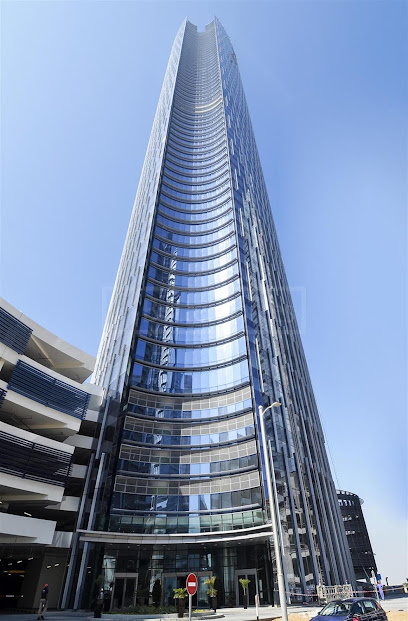 Alliance for Management Consulting and Training - United Arab Emirates|Al Reem Island - Abu Dhabi|Flat 1909 - 19th Floor|Al Rayfah St