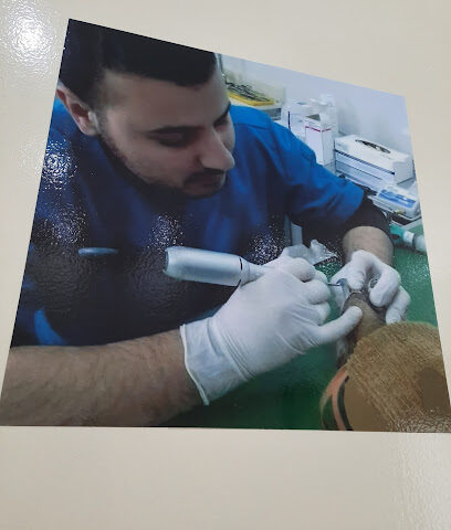 عيادة الوسام البيطرية للصقور - Umm Al Quawain - +971 58 887 2175