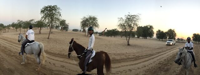 Fazza Endurance Stable - Sharjah - +971 50 166 9497