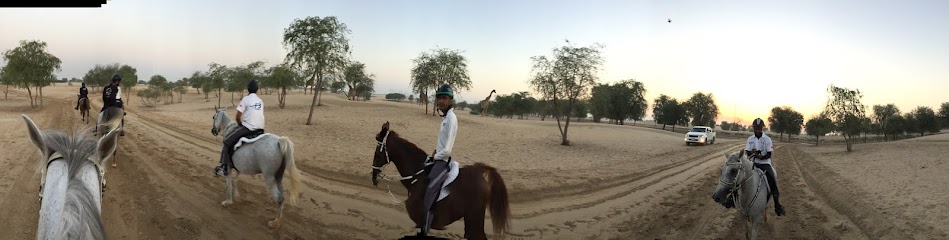 Fazza Endurance Stable - United Arab Emirates|Dubai