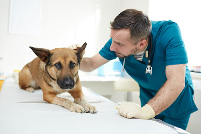 Canadian Veterinary Clinic - Umm Al Quawain - +971 6 524 7222