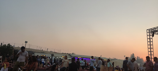 Evening Desert Safari - Sharjah - +971 54 474 7041