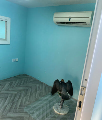 Avian veterinary clinic shop F6 bawadi - Umm Al Quawain - +971 50 797 8827