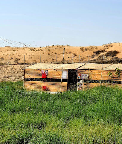 Yacob's Farm & Camping - Sharjah - +971 56 146 0511