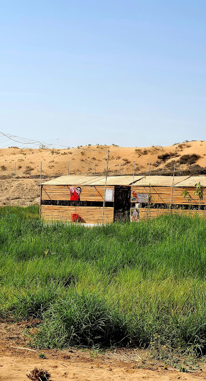 Yacob's Farm & Camping - United Arab Emirates|Al helio - Al Zahya - Ajman