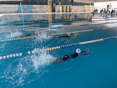 Dolphin Sports Academy - Sharjah - +971 56 338 8665