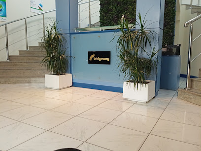 Bridgeway Shipping & Clearing Services L.L.C. - Sharjah - +971 4 886 1170