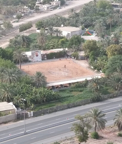 Alrayan stable - Sharjah -