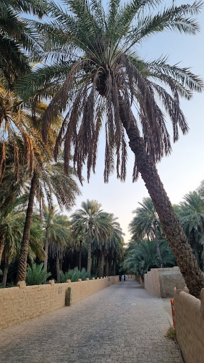 Al Ain Oasis - United Arab Emirates|Central District - Abu Dhabi