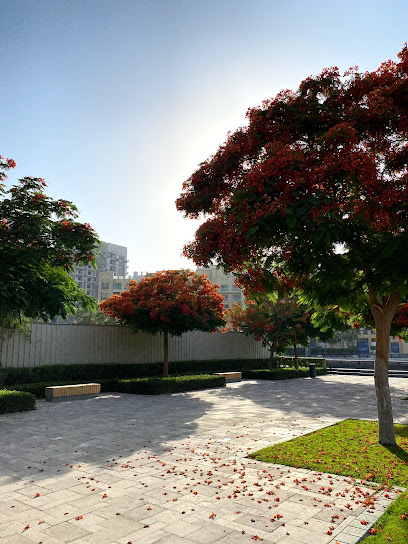 Jaddaf Chammaki grass area - United Arab Emirates|Jaddaf Waterfront - Dubai|Unnamed Road|park & playground