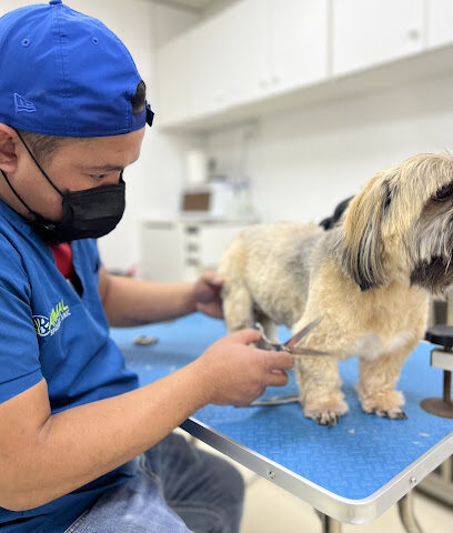 Animal Specialist Clinic - Umm Al Quawain - +971 4 343 5540