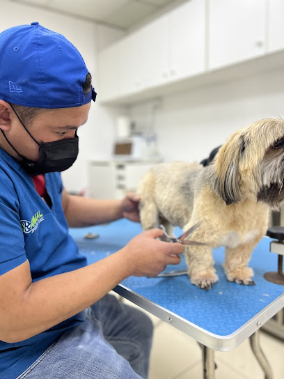 Animal Specialist Clinic - United Arab Emirates|Dubai|333 Al Wasl Rd|97 / 2C Community