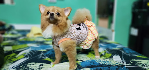 Sharjah municipality Veterinary Clinic - Umm Al Quawain - +971 6 506 8260