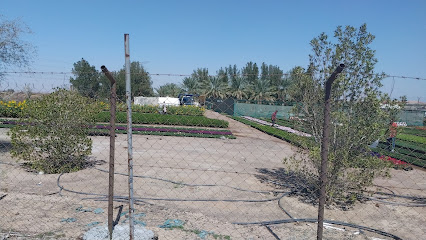 Azgar Nursery - Umm Al Quawain -