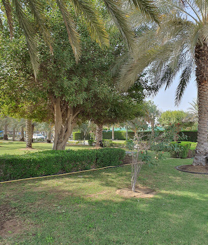 Khalifa University for Science Technology and Research - جامعة خليفة للعلوم والتكنولوجيا والبحوث - Umm Al Quawain -