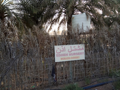 مشتل اذن .Adhen plants nursury - Umm Al Quawain - +971 50 549 5083