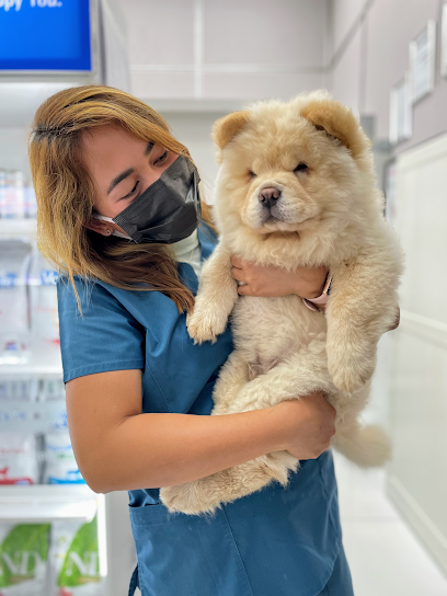 Al Falah Veterinary Clinic - United Arab Emirates|Al Wasl - Dubai|28 21C St