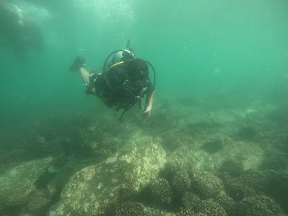 Fujairah Diving - Sharjah -