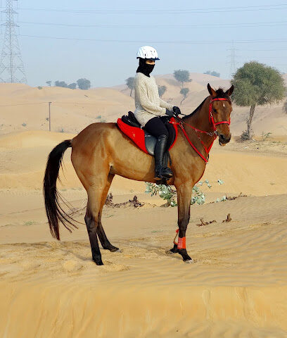 Burkan stables - Sharjah - +971 56 886 1444