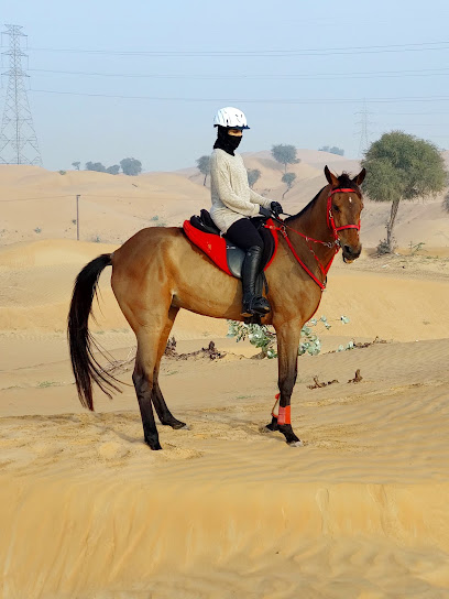 Burkan stables - United Arab Emirates|Alzubair - Sharjah