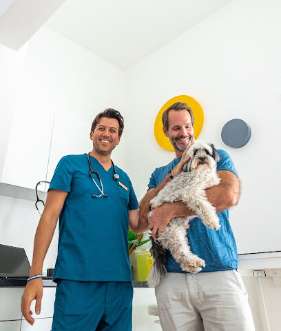 VETS & PETS Dubai - Italian Veterinary Clinic - Umm Al Quawain - +971 58 599 8387