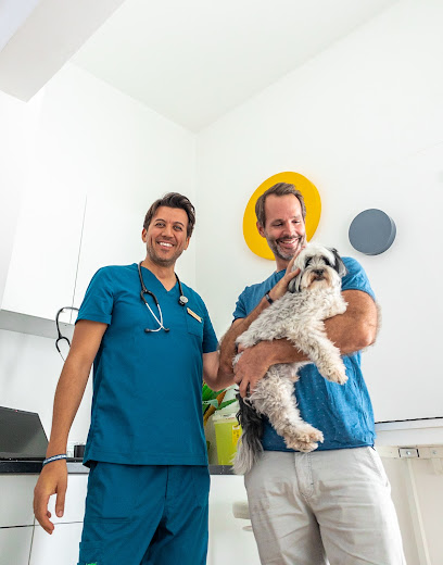 VETS & PETS Dubai - Italian Veterinary Clinic - United Arab Emirates|Jumeirah 3 - Dubai|754A Al Wasl Rd