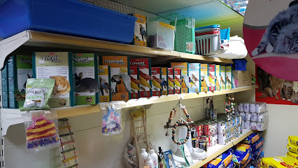 Care Pet Animals Accessories AD - Sharjah - +971 2 448 8083