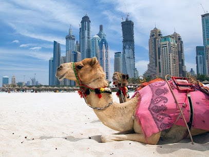 TAAL TOURISM L.L.C -visa travel agency in Dubai,UAE - Sharjah - +971 50 294 6533