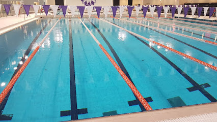 4th Lane Swim Academy - Sharjah - +971 50 168 1557