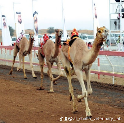 مختبر الشلفا البيطري - Umm Al Quawain - +971 56 156 3816