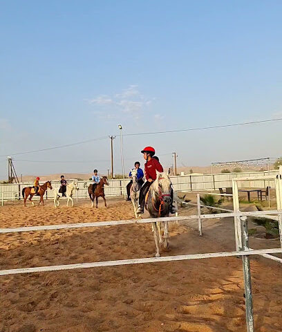 مربط المخاول للخيول العربية - Sharjah -