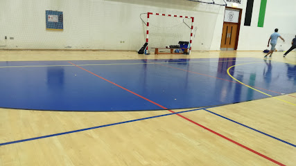 Prime Star - Badminton - Al Nasr Club - Rashid Bin Hamdan Indoor Hall - Oud Metha - Sharjah - +971 50 456 5577