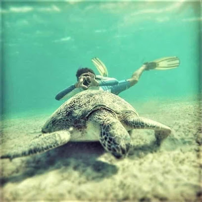 APNEA ZONE FREEDIVING TRIP - Sharjah - +971 50 640 1044