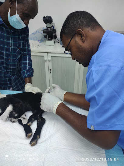AlTuhami Veterinary Clinic - United Arab Emirates|Al Shahamah - New Shahamah - Abu Dhabi|Al Shahama - Abu Dhabi Rd