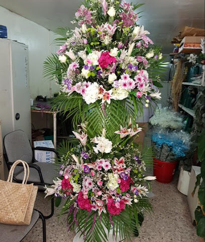 Qurtaba Flowers Co LLC - Sharjah - +971 6 566 7755