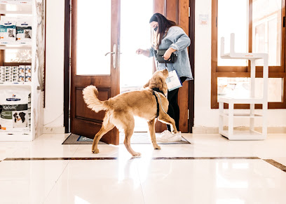 German Veterinary Clinic - Umm Al Quawain - +971 2 556 2024
