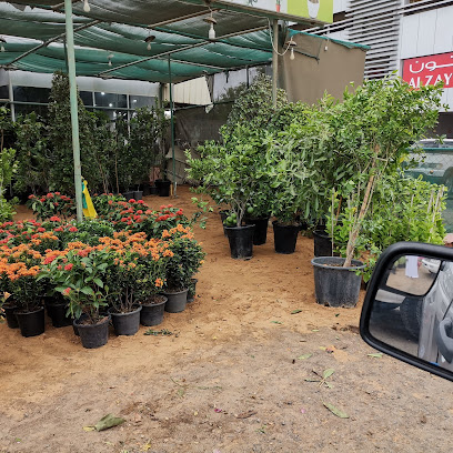 Jameela Nursery - Sharjah - +971 55 104 5549