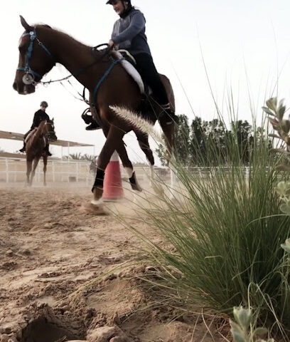 08 Stables - Sharjah - +971 50 356 4545