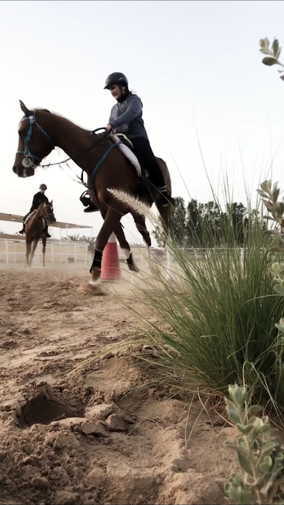 08 Stables - United Arab Emirates|Alzubair - Sharjah