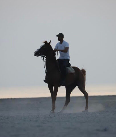 Al Suwaidi Stable - Sharjah - +971 52 398 0200