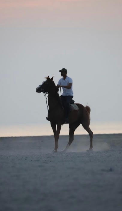 Al Suwaidi Stable - United Arab Emirates|Ras al Khaimah|Unnamed Road|PVGR+M8G