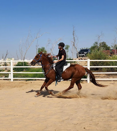 R777 Equestrian Center - Sharjah - +971 50 466 6333
