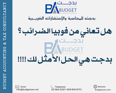 BUDGET ACCOUNTING & TAX CONSULTANCY - Sharjah - +971 50 918 9173