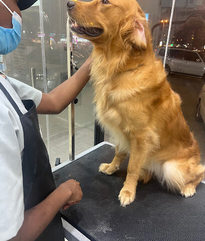 Fluffy Veterinary Clinic for pets عيادة و صالون فلافي للحيوانات الأليفة - Umm Al Quawain - +971 52 630 5568