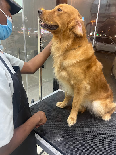 Fluffy Veterinary Clinic for pets عيادة و صالون فلافي للحيوانات الأليفة - United Arab Emirates|Hamidiya - Al Hamidiya 2 - Ajman|Al Hamidya