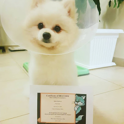 Blue Oasis Veterinary Clinic - Veterinary Clinic in Dubai - Umm Al Quawain - +971 4 884 8580