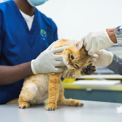 Vet Plus - Umm Al Quawain - +971 4 220 4553